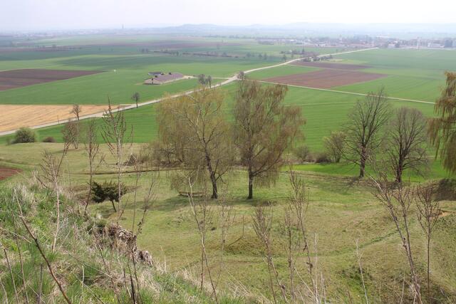Goldbergvorland