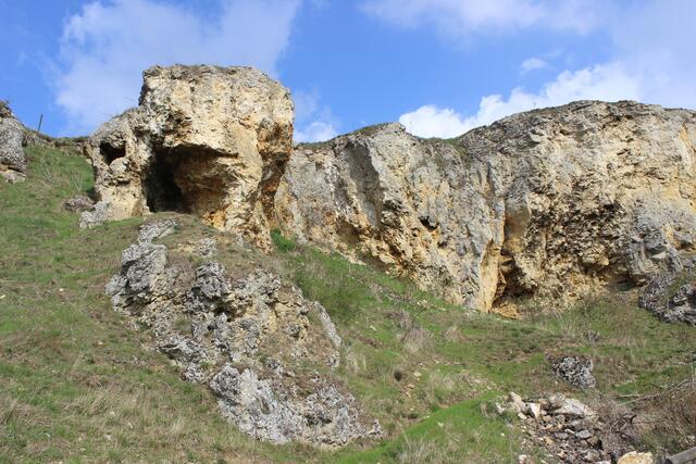 Goldbergformation