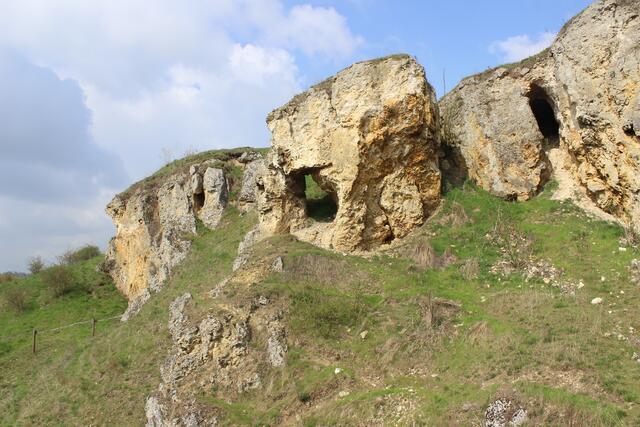 Goldbergformation