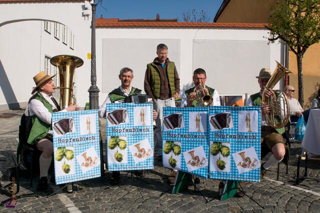 Die Blasmusik "Hopfenblech" spielte auf beim Friedberger Wochenmarkt-Samstag. In der Bildmitte Frank Büschel, Friedbergs Referatsleiter für Öffentlichkeitsarbeit/Kultur/Sport