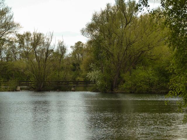 Unterwegs in bisher unbekannten Gefilden. Über hölzerne Brücken musste man gehen. Eine wunderschöne ruhige Idylle zum träumen.