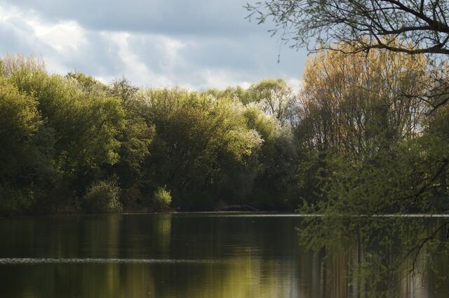 Grauer Himmel plus Sonnenschein. Ein stimmungsvoller Augenblick.