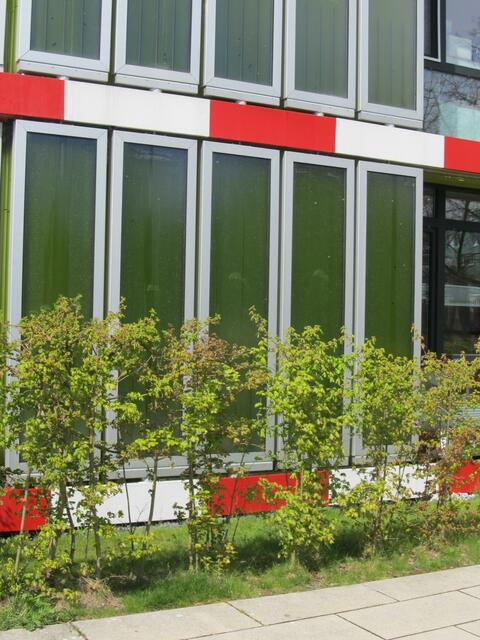 ..u.a. das Algenhaus..