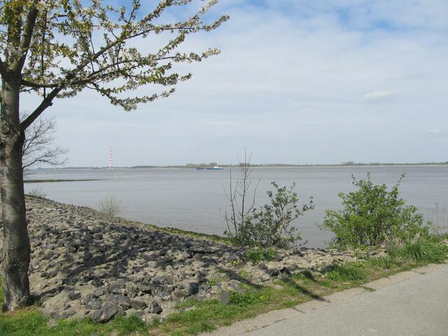 Elbe