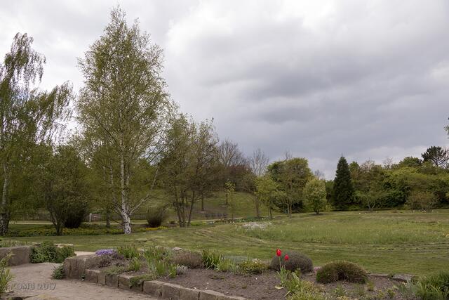 Ein Blick nach hinten oben - weia, das sieht nach Regen aus.
