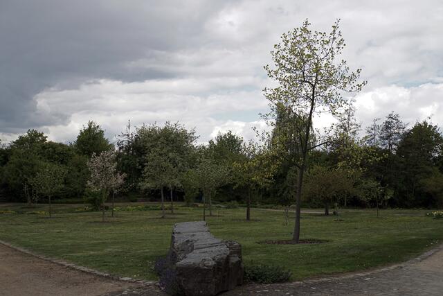 im Park der Sinne