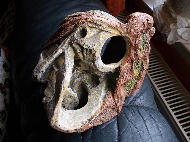 Misses Krebs - ihre neue "Höhle" - 30.4.2017 !