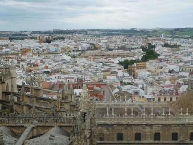 Blick auf Sevilla