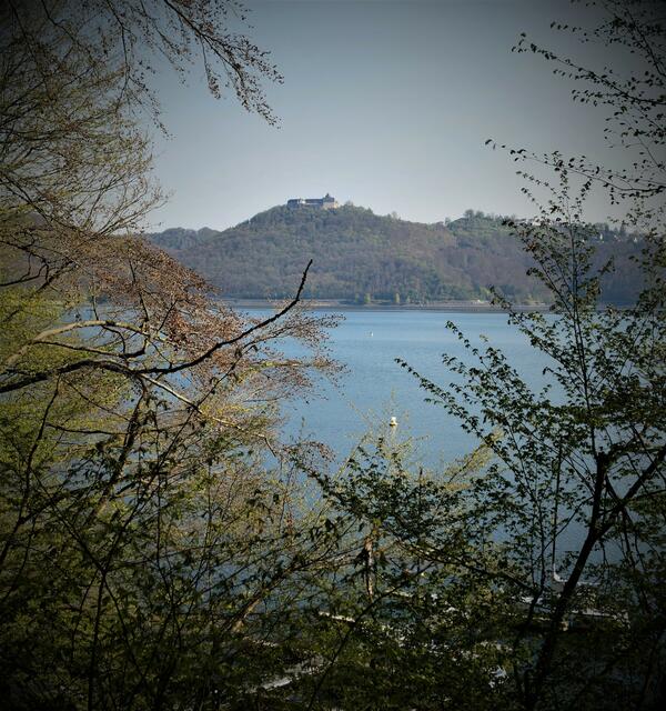 Durch die noch fast kahlen Bäume der Edersee und Schloß Waldeck