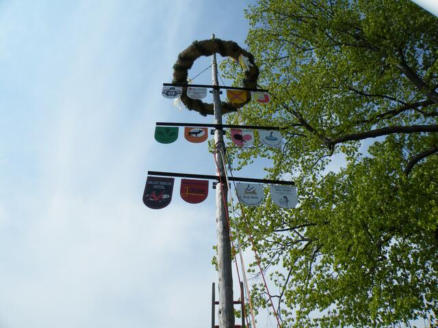 14. Fertig - der Maibaum 2017 steht.