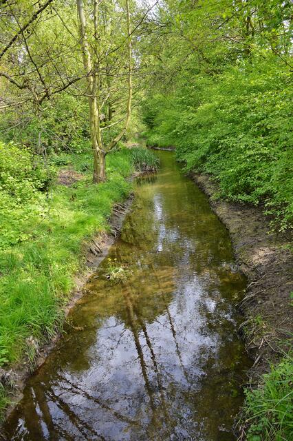 07.05.2017 © AW  Unser Dorfbach, die Bruchriede