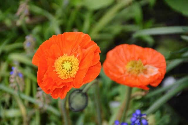 07.05.2017 © AW