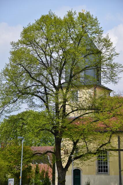 07.05.2017 © AW  St.Petri-Kirche