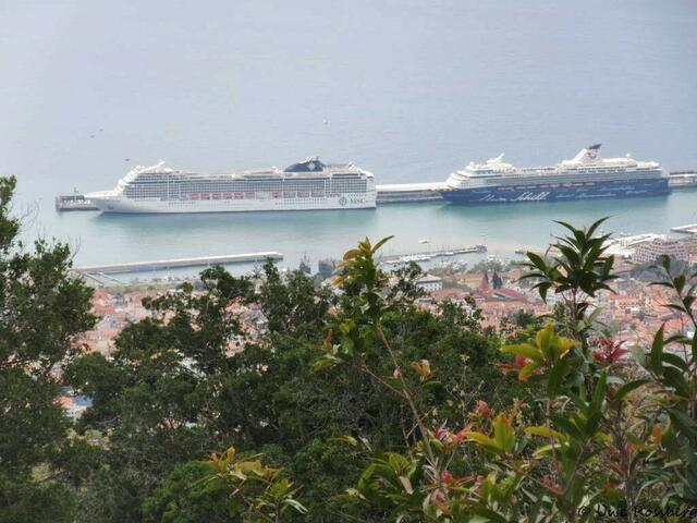 Blick auf die Kreuzfahrtschiffe im Hafen von Funchal