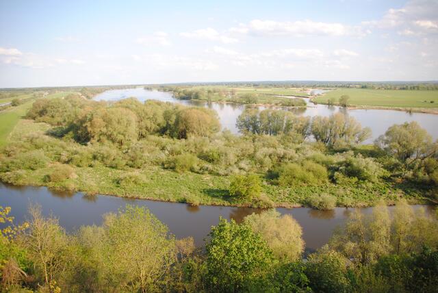 Viel Wasser und Grün , das ist Natur wie ich sie mag