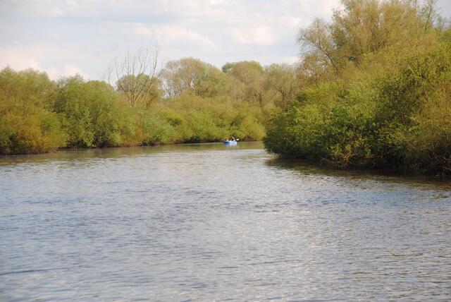 Auch die Bootfahrer nutzen das tolle Wetter um ihrem Hobby zu fröhnen.