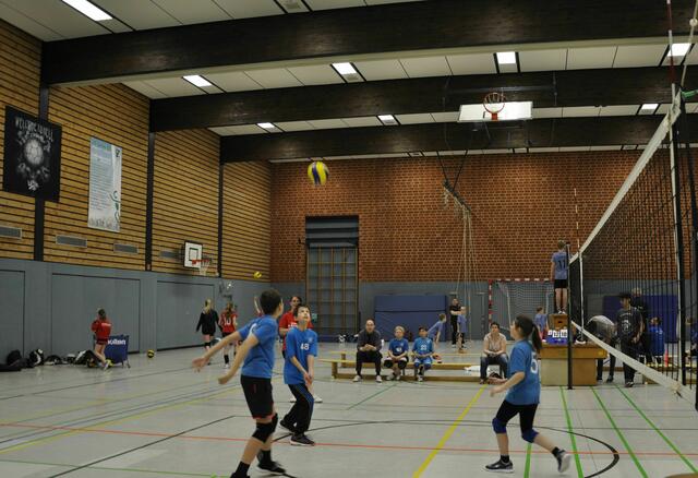 Voll dabei die TSV KK Power Küken