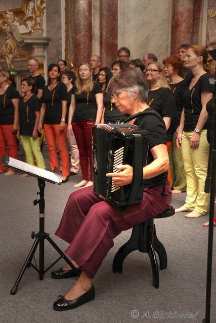 Die Chormitglieder sind aus den Reihen der Sänger/innen