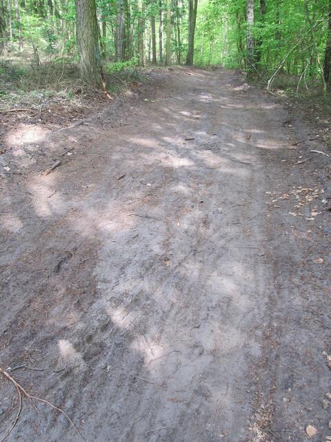 Radwege am Plauer See