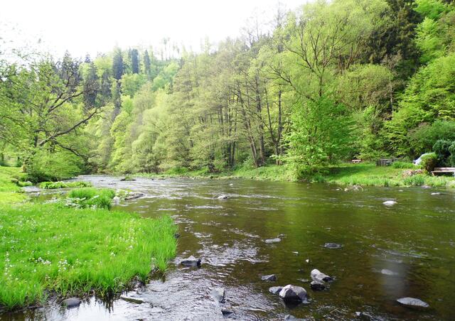 Weiter geht es in die Harzberge hinauf. Der größte Harzfluss, die Bode, ist unser Ziel.
