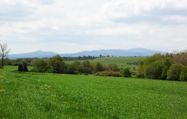 Doch wir wollen Fluss aufwärts. Bei Hüttenrode wird der Blick frei auf die höchsten Berge des Harzes. Von links: Wurmberg, Hohneklippen und Brocken.