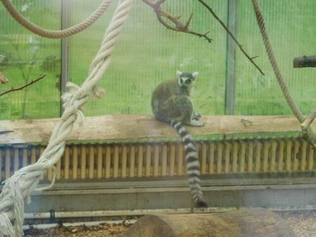 Zoo Duisburg