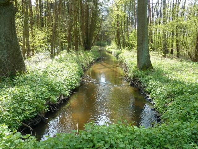 Idylle an der Hengstbeeke