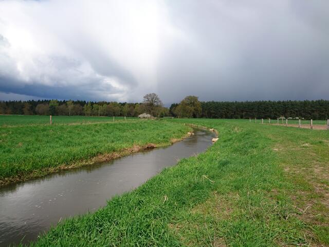 Der Himmel sieht total spannend aus.