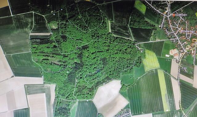 Der Süllberg vom Bildschirm bei Google Earth abfotografiert
