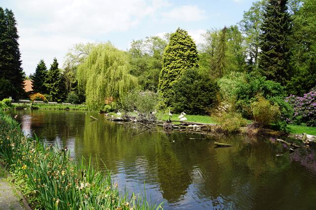 im Welt-Vogelpark Walsrode