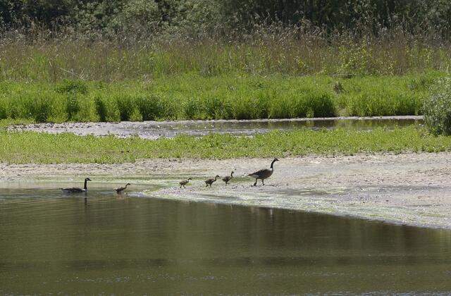 .............Nr. 2 ............3................4 und Papa