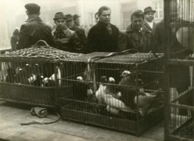 Taubenmarkt in Kölleda 1972