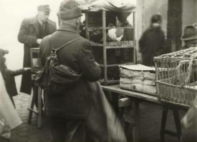 Taubenmarkt in Kölleda 1972