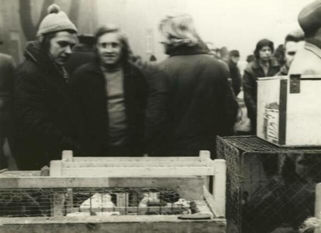 Taubenmarkt in Kölleda 1972