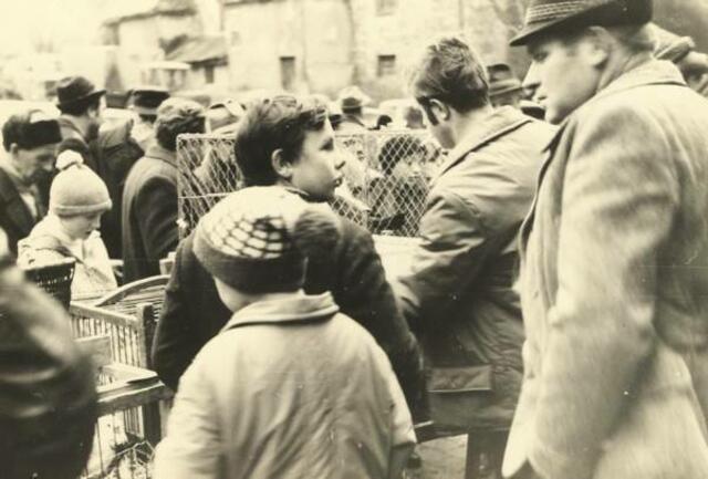 Taubenmarkt in Kölleda 1972