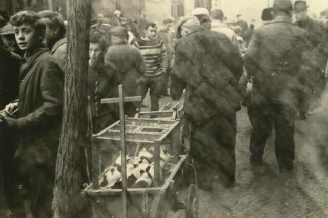 Taubenmarkt in Kölleda 1972