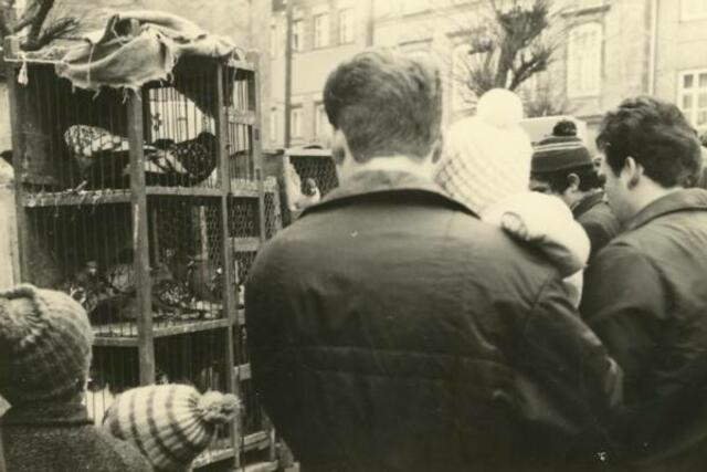 Taubenmarkt in Kölleda 1972