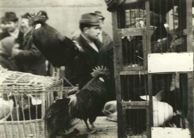 Taubenmarkt in Kölleda 1972