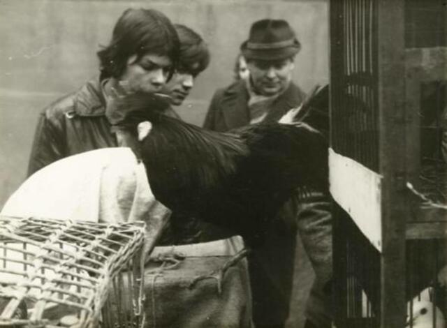 Taubenmarkt in Kölleda 1972