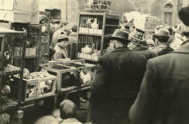 Taubenmarkt in Kölleda 1972