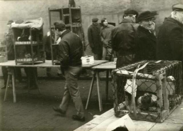 Taubenmarkt in Kölleda 1972