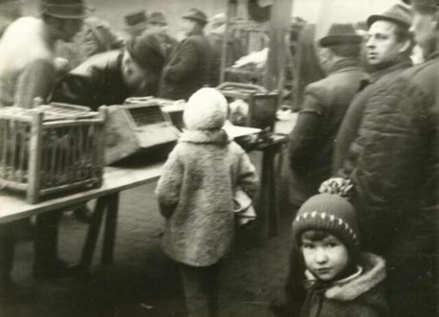 Taubenmarkt in Kölleda 1972