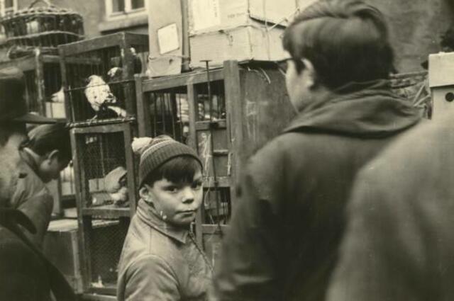Taubenmarkt in Kölleda 1972