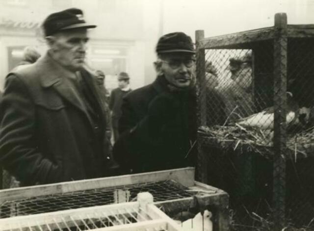 Taubenmarkt in Kölleda 1972