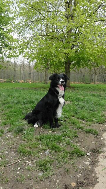 Sammy