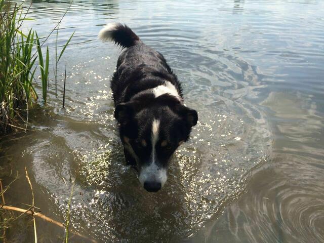 Sammy