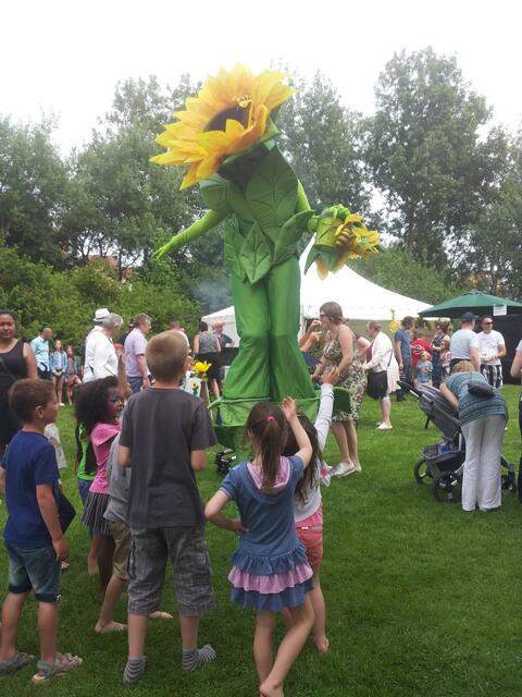 Sonnenblume