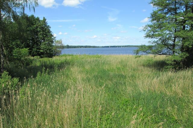 Meeresblick: Aussicht auf den See bei Bad Zwischenahn.
