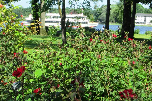 Blick aus dem Rosengarten auf den See.