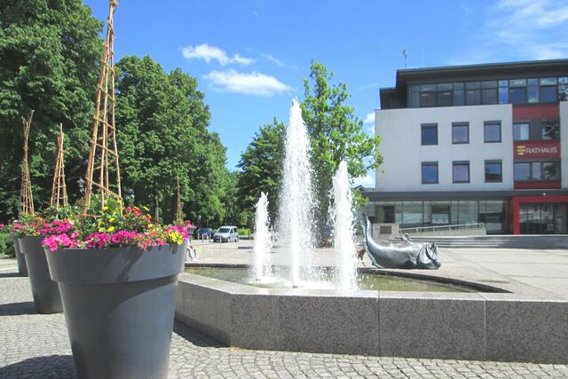 Am Rathausplatz.